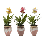 Planta Artificial Orquidea Blanca Macetero De Ceramica - Fliperex