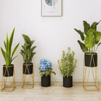 Porta Macetero Pedestal Maceta Plantas Negro Dorado - Fliperex