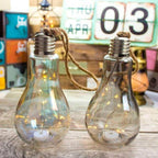 Ampolleta Led Decorativa Con Luces Hadas Decoración Vidrio - Fliperex