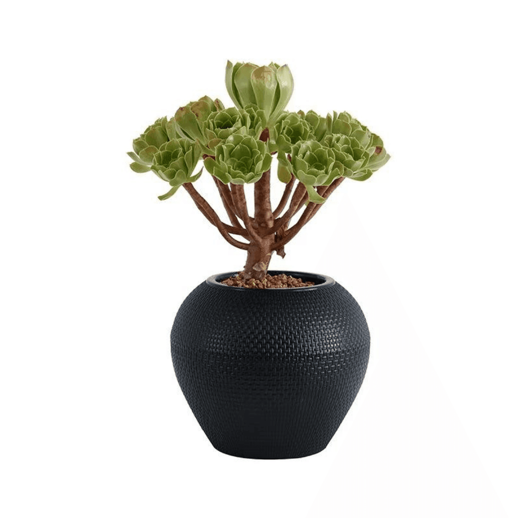 Set 3 Maceteros Plastico Redondo Ovalado Moderno Textura S - Fliperex