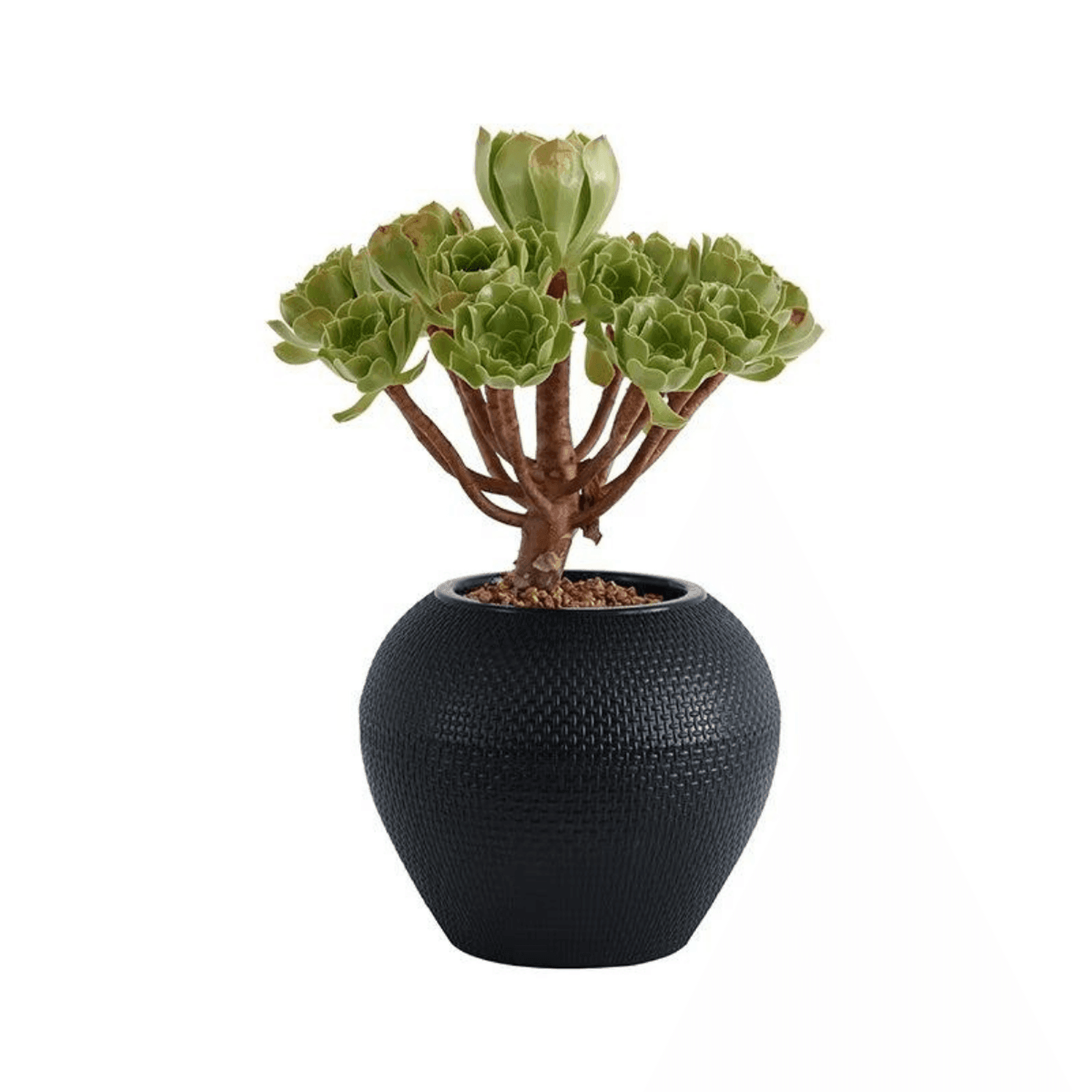 Set 3 Maceteros Plastico Redondo Ovalado Moderno Textura S - Fliperex