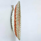 Circulo Decoración De Mimbre Para Pared Casa Terraza Variado - Fliperex