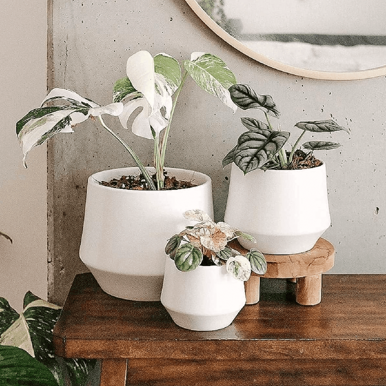 Set 3 Maceteros Maceta De Ceramica Elegante Blanco Liso - Fliperex