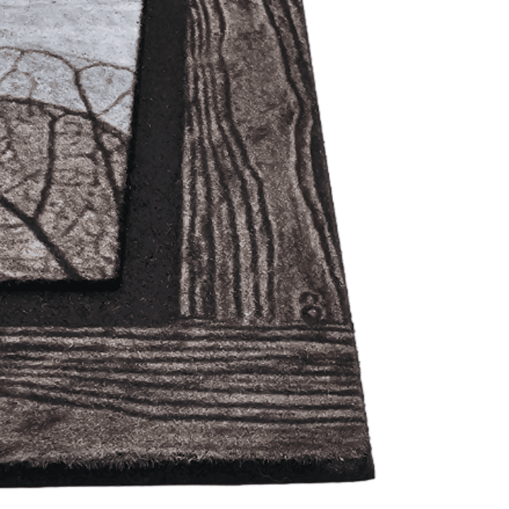 Alfombra Limpiapies Felpudo Alfombra De Entrada Mariposas - vista 2