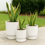 Set 3 Maceteros Maceta De Cerámica Blancos Diseños Lineas