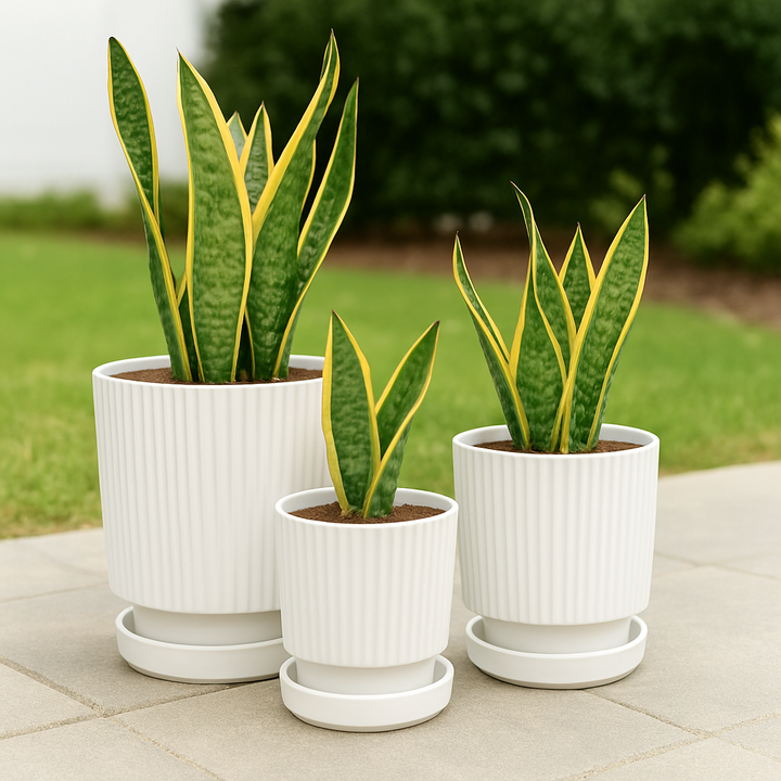 Set 3 Maceteros Maceta De Cerámica Blancos Diseños Lineas - vista 2