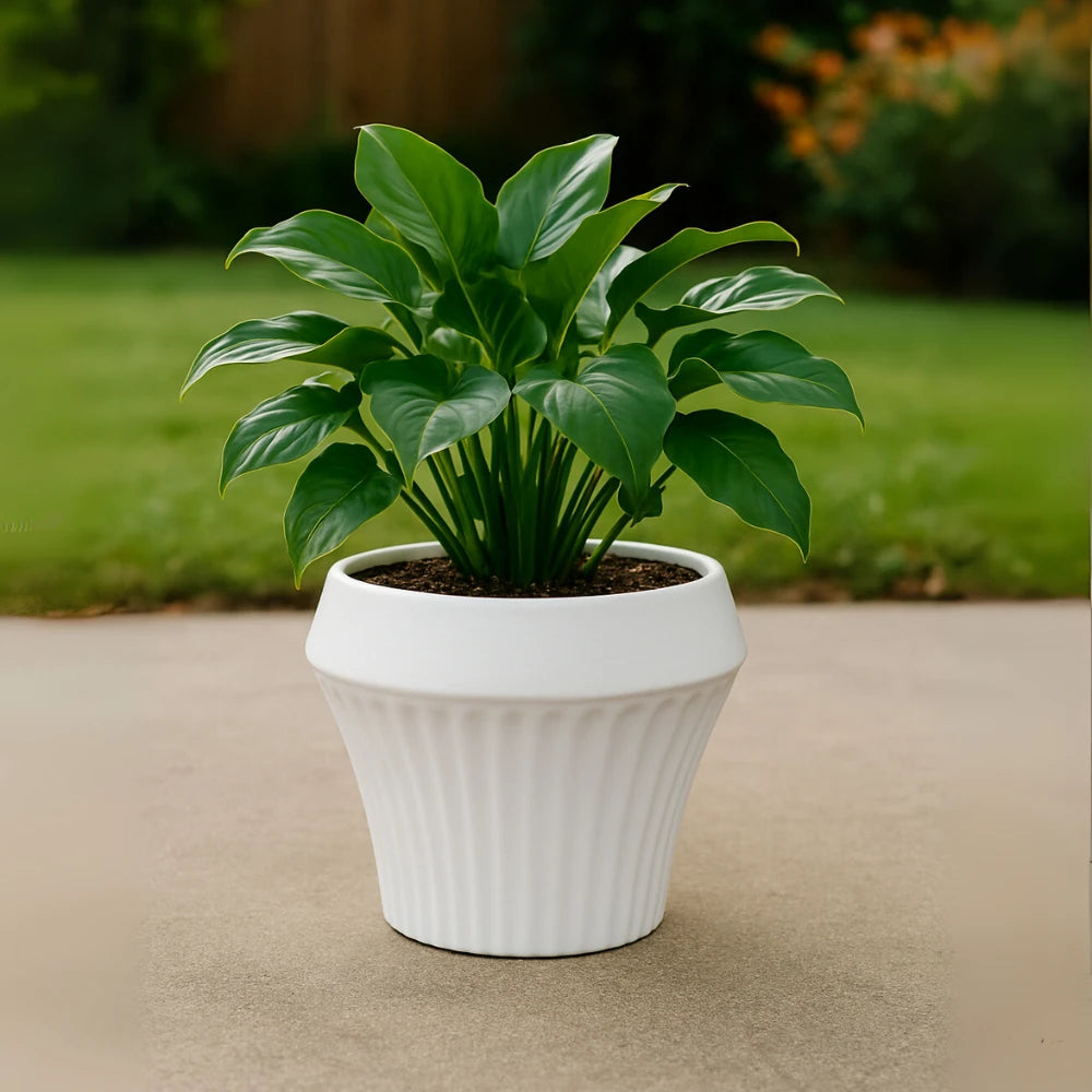 Macetero De Ceramica Blanco Mate Lineas Decorativas Maceta M