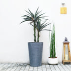 Macetero Plastico Alargado Premium Base Circular Conica