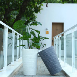 Macetero Plastico Alargado Premium Base Circular Conica