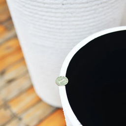 Macetero Plastico Alargado Premium Base Circular Conica