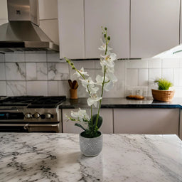 Planta Artificial Orquidea Grande Macetero De Cemento