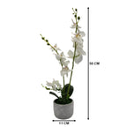 Planta Artificial Orquidea Grande Macetero De Cemento