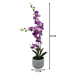 Planta Artificial Orquidea Grande Macetero De Cemento