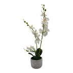 Planta Artificial Orquidea Grande Macetero De Cemento