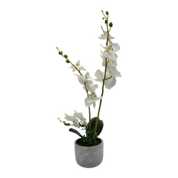 Planta Artificial Orquidea Grande Macetero De Cemento