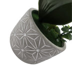 Planta Artificial Orquidea Grande Macetero De Cemento