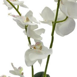 Planta Artificial Orquidea Grande Macetero De Cemento