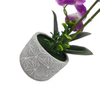 Planta Artificial Orquidea Grande Macetero De Cemento