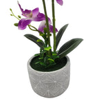 Planta Artificial Orquidea Grande Macetero De Cemento