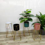 Set 2 Pedestales Porta Macetero Deco Rosado Grandes