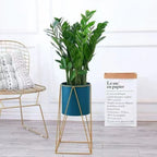 Set 2 Pedestales Porta Macetero Deco Verde Oscuro Grandes