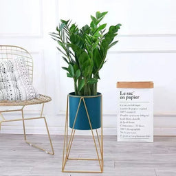 Set 2 Pedestales Porta Macetero Deco Verde Oscuro Grandes