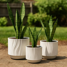 Set 3 Maceteros Maceta De Ceramica Blanco Con Lineas