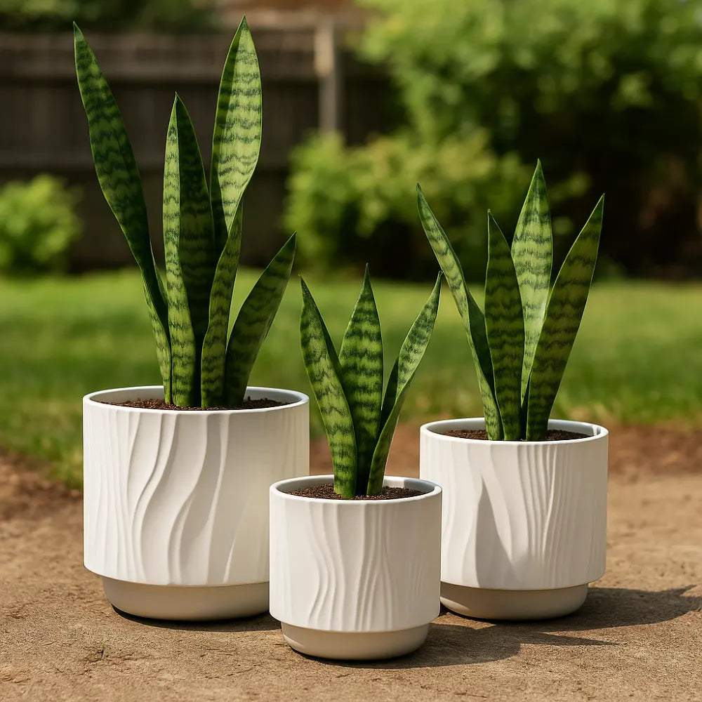 Set 3 Maceteros Maceta De Ceramica Blanco Con Lineas