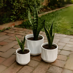 Set 3 Maceteros Maceta De Ceramica Blanco Con Lineas