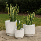 Set 3 Maceteros Maceta De Ceramica Blanco Con Lineas