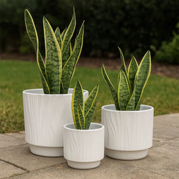 Set 3 Maceteros Maceta De Ceramica Blanco Con Lineas