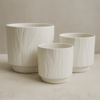 Set 3 Maceteros Maceta De Ceramica Blanco Con Lineas
