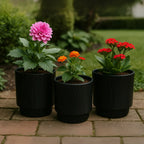 Set 3 Maceteros Maceta De Ceramica Negro Con Lineas