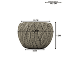Set 4 Macetero Maceta Acabado Cemento Relieve Hojas Gris S - Fliperex