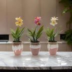 Planta Artificial Orquidea Blanca Macetero De Ceramica - Fliperex