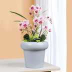 Macetero Maceta Estilo Escandinavo Acabado Moderno Gris - Fliperex