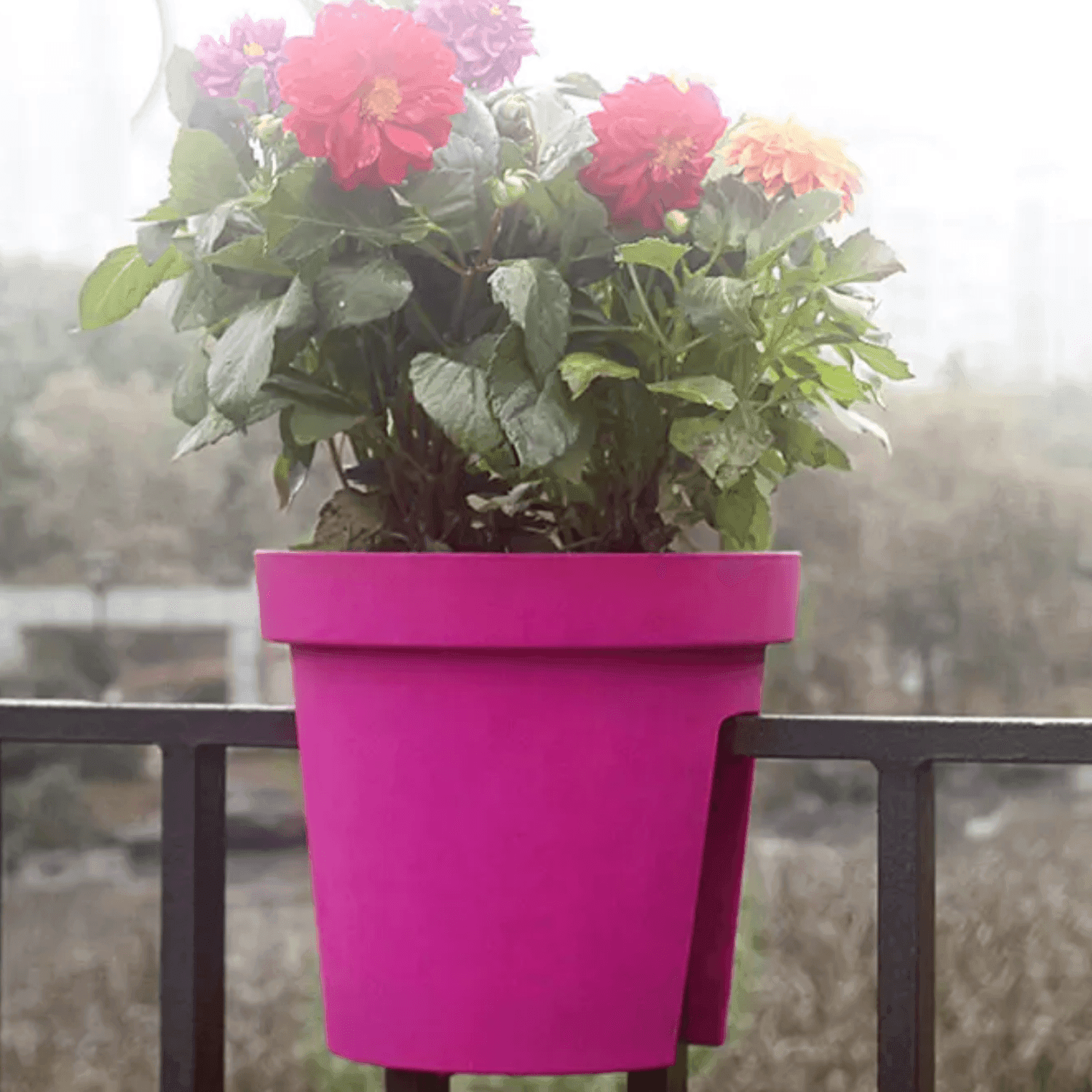 Macetero Colgante Para Balcon Terraza Plastico Maceta Jardin - Fliperex