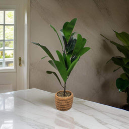 Planta Artificial Macetero De Cemento Naranjo Hojas Verdes - Fliperex