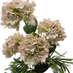 Planta Artificial Hortensia Decorativa Macetero De Ceramica - Fliperex