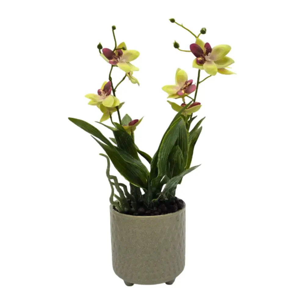 Planta Artificial Orquidea Amarillo Decorativa Macetero Loza - Fliperex