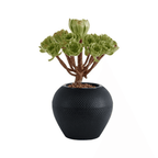 Set 2 Maceteros Plastico Redondo Ovalado Moderno Textura S - Fliperex