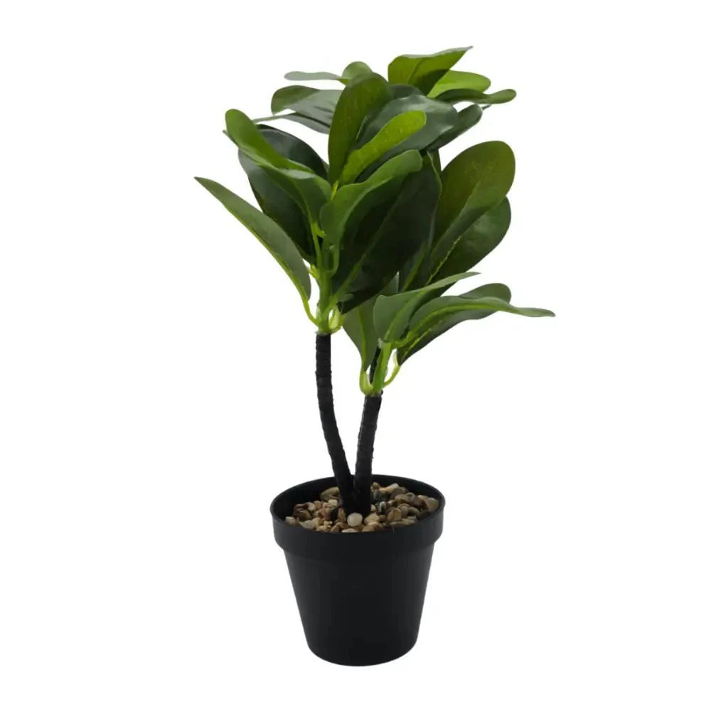 Planta Artificial Hoja Verde Deco Macetero Plastico Negro - Fliperex