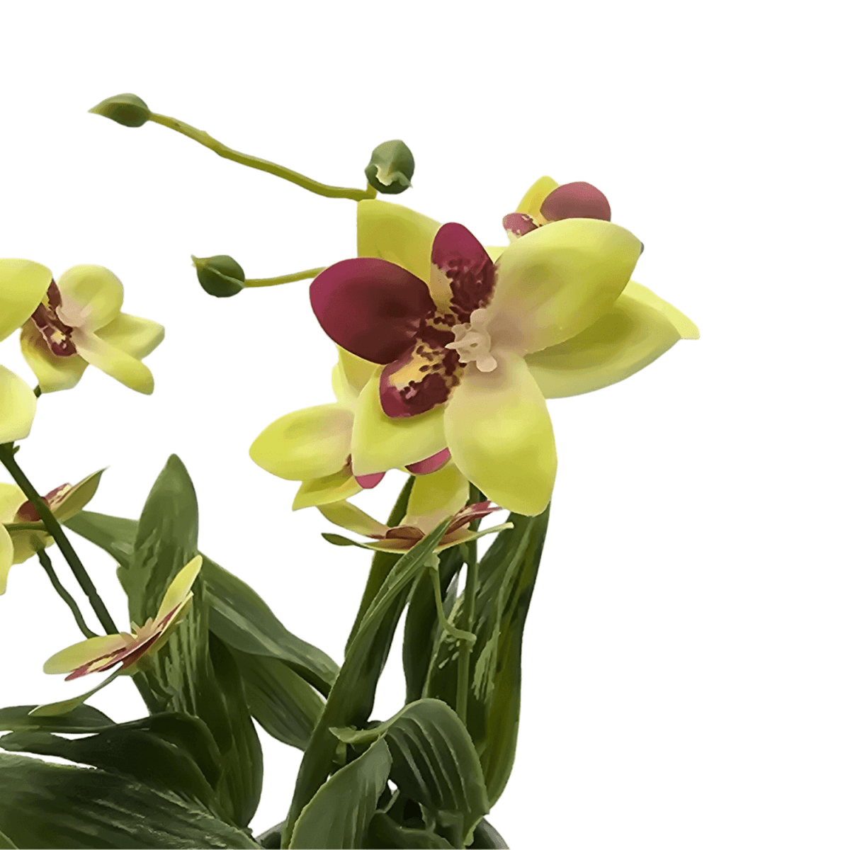 Planta Artificial Orquidea Amarillo Decorativa Macetero Loza - Fliperex