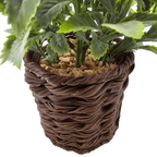Planta Artificial Lavanda Decorativa Macetero De Rattan Deco - Fliperex