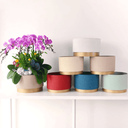 Macetero Plastico Redondo Bajo Premium Verde Base Dorado - Fliperex