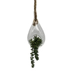 Terrario Colgante De Vidrio En Forma De Gota Para Plantas - Fliperex