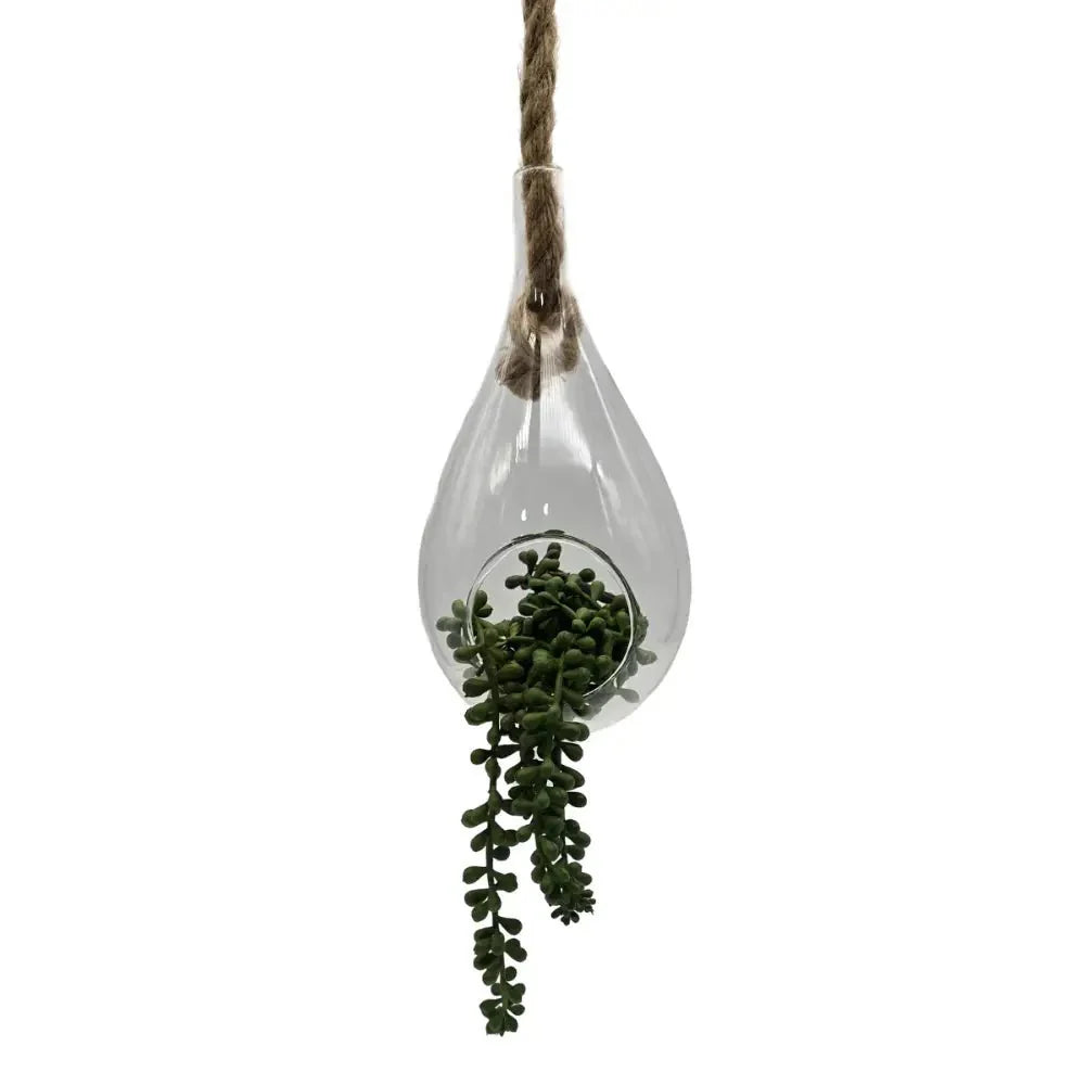 Terrario Colgante De Vidrio En Forma De Gota Para Plantas - Fliperex