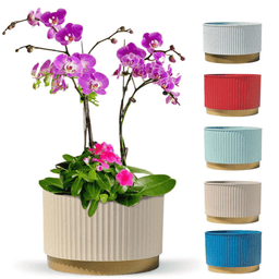 Macetero Plastico Redondo Bajo Premium Verde Base Dorado - Fliperex