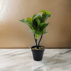 Planta Artificial Hoja Verde Deco Macetero Plastico Negro - Fliperex