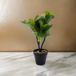 Planta Artificial Hoja Verde Deco Macetero Plastico Negro - Fliperex